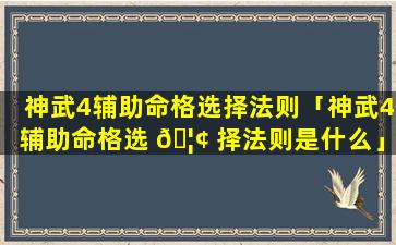 神武4辅助命格选择法则「神武4辅助命格选 🦢 择法则是什么」
